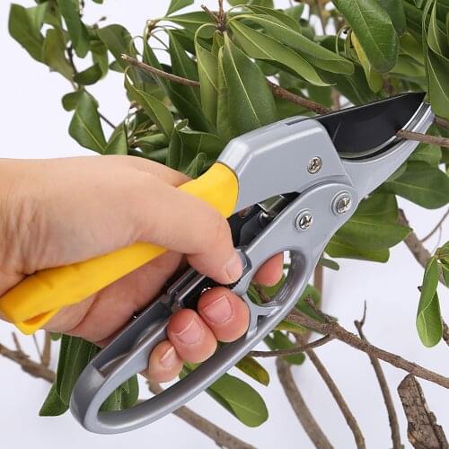 Garden Scissors Grafting Tool Fruit Tree Pruning Shears Hand Gardening Plant Scissor Branch Pruner Trimmer Tools
