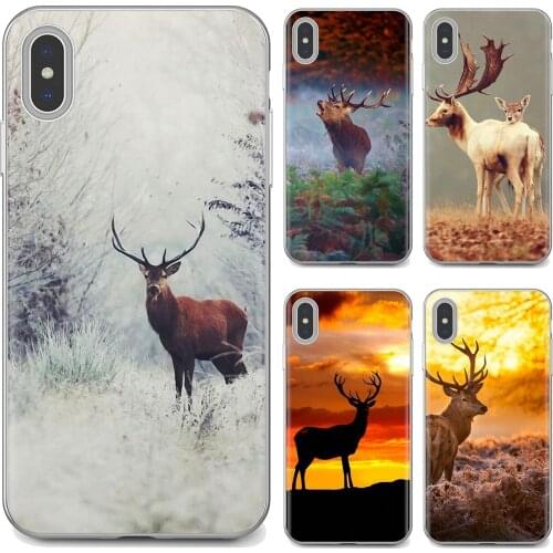 Camp Nou Meizu M5 Phone Cases