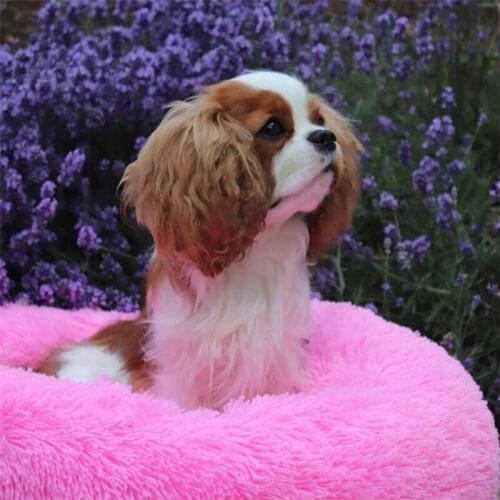 Round Plush Dog Bed House Dog Mat Winter Warm Sleeping Cats Nest Soft Long Plush Dog Basket Pet Cushion Portable Pets Supplies