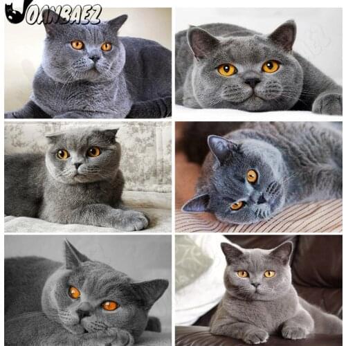 Pet Cat Diamond Painting Animal Mosaic Kit 5D Diy Cross Stitch Embroidery Hand Inlaid Wall Decoration Gift Design