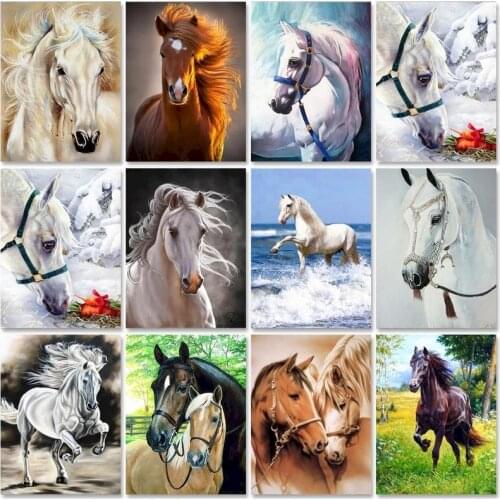 Horse Painting By Numbers Animal Oil Diy Drawing Canvas Picture HandPainted Coloring Kits Reflection Paint Gift Acrylic Adult Wa