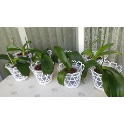 Turva Ticaret Trays For Pots