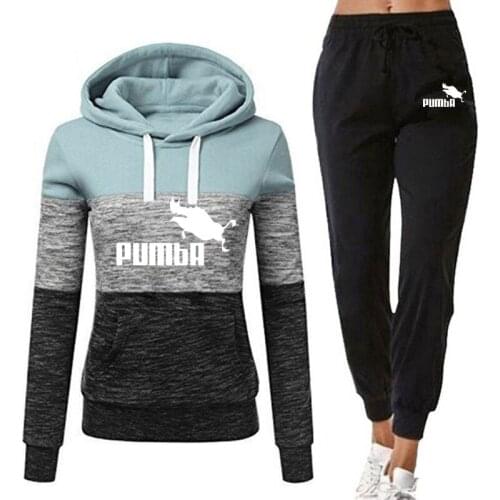 Women 2Piece Set 2021 Autumn Winter Running Tracksuit Womens Hooded Sweatshirt Casual Wear Outfits Woman Jogging Sport Suit