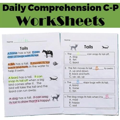 Reading Comprehension Passages Level C-P Practice Paper Preschool Learning English Homework Workbook for Kids Worksheets Toys