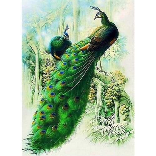 Bird Diy Peacock Printed 11CT Cross Stitch Embroidery Full Kit DMC Threads Knitting Handicraft Needlework Hobby Stamped Magic