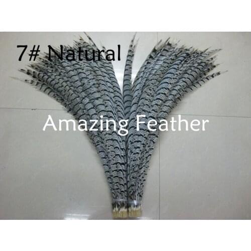 24pcs 30-35inch 80-90cm Natural White zebra Copper Pheasant Feather,Lady amherst Pheasant tails for backpieces free shipping