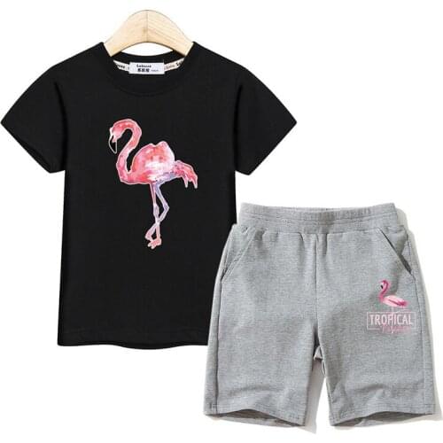 Girls Summer Fashion Outfits Paint Flamingo Costume Tops+Shorts Girl Suit Short Sleeve Cotton Costumes Kids 2pc Suits