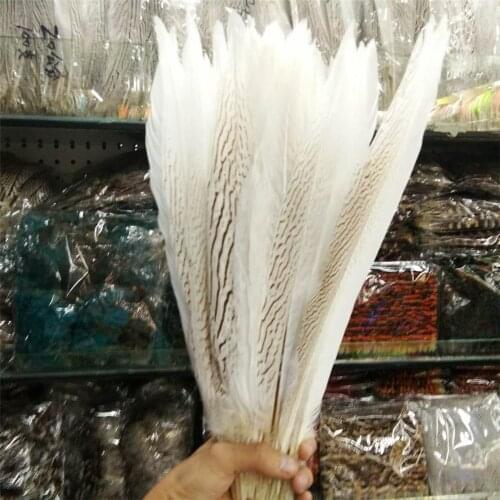 10-80CM 4-32inch Natural Silver Pheasant Tail Feathers White Pheasant Feathers For Crafts Wedding DIY Halloween Costume Plumes