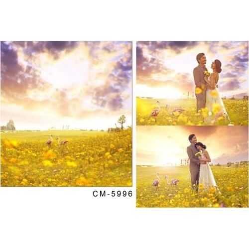 Photographic Camera Background Yellow Flower Field Bright Sky For Photo Shoots Real Backdrop for Photo Studio Custom Background