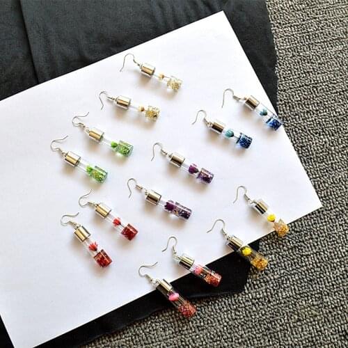 Creative Geometry Glass Bottle Plant Dried Flower Earrings Sweet Little Chrysanthemum Long Transparent Bottle Simple Eardrop