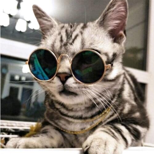 Pet Cat Glasses Dog Glasses Pet Products for Little Dog Cat Eye Wear Dog Sunglasses Photos Props Accessories Pet Supplies Toy