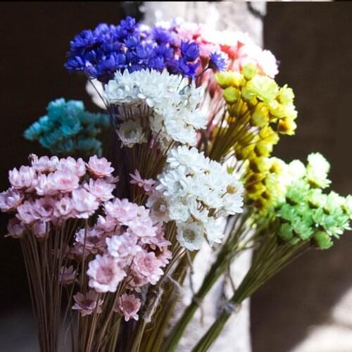 30Pcs Natural Daisy Preserved Flowers Delicate Dried Flowers DIY Everlasting Flower Bouquet Photography Props Home Decor