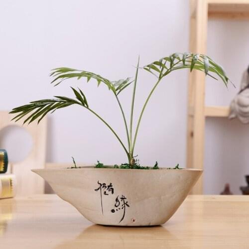 Chinese Style Stoneware Fleshy Flower Pot Creative Hydroponic Ceramic Flower Custom Green Green Copper Money Plant Flower Pot