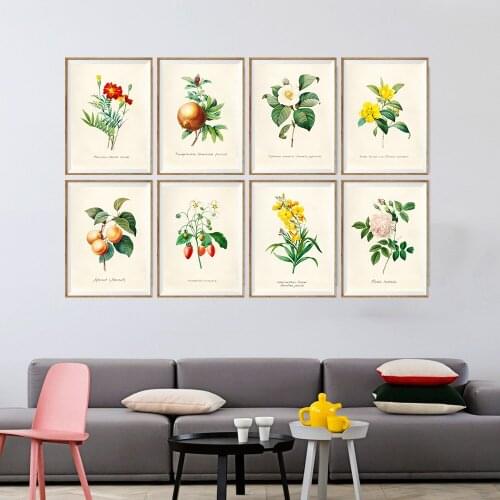 Cottage Modern Room Print Set 8 Wildflower Botanical Wall Painting Vintage Flower Kitchen Trends Farmhouse Art No Frame Pictures