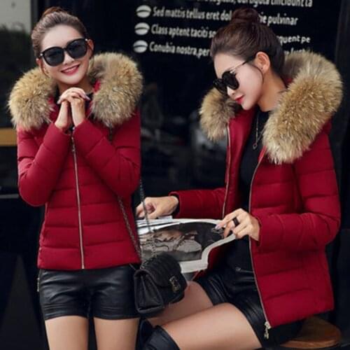 Autumn Winter Warm Jacket Female 2021 Fashion Winter Coat Women False Fox Collar Down Cotton Parkas Large size 4XL Female Coat