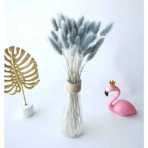 Natural White Black Grey Bunnny Tail Grass Home Living Room Party Decoration Dried Flowers Wedding Deco Marriage Accessories