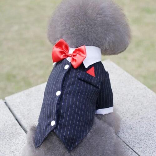 Jiguanqiang Costumes For Dogs