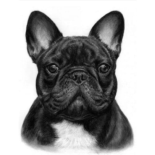 5D diy new Diamond painting French bulldog animal crystal embroidery beads full round cross stitch kits handwork mosaic art