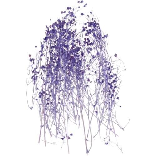 1 1 Box Filling Flower Dry Handmade Flowers DIY Epoxy Resin Filler Crafts Silicone Molds Tools Crystal UV Accessories Decoration