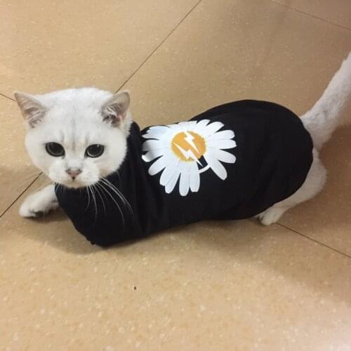 Summer Cool Cat Vest Shirt Fashion Print Pet Clothes for Small Dogs Cats Puppy Cat Clothing Yoekshire Gotas Shirts Dog Pullovers