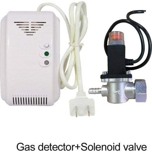 110-220VAC standalone combustible gas leaking alarm detector security Kitchen natural gas leak sensor electric magnetic valve