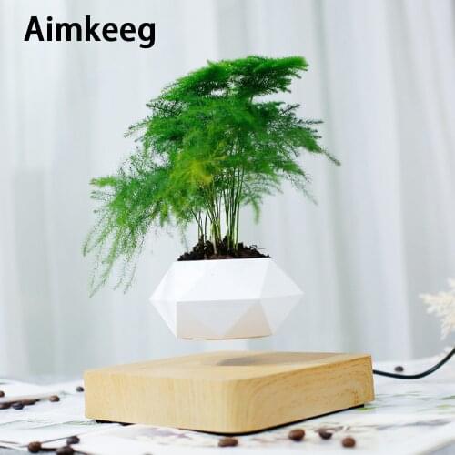 Novelty Levitating Plant Pot Rotation Floating Flower Pot Magnetic Levitation Flower Potted for Home Modern Desk Decoration