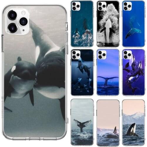 Killer Whale Orca Phone Case Transparent for iPhone 6 7 8 11 12 s mini pro X XS XR MAX Plus cover funda shell