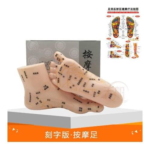 19cm Foot Reflex Zone Massage Model, Not Acupuncture Model, Foot Massage Model Chinese Language Feet Reflexology,1 Pair Medical