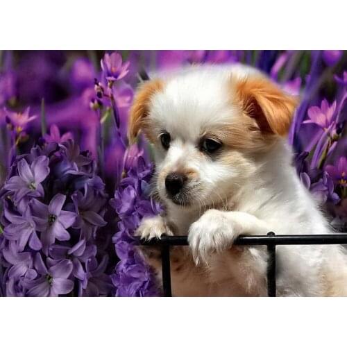 Flowers 5D DIY Diamond Painting Full Square Round 3D Embroidery Dog Pictures of Rhinestones Cross Stitch Kit Room Decor DF645