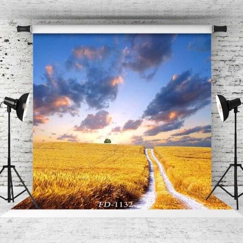 Field in The Sunset Photographic Background For Photo Shoot Props Children Kids Baby Vinyl Cloth Photo Backdrop Photocall