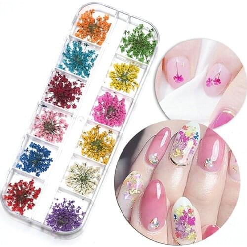 12 Color/box 3D Nail Decoration Real Dry Dried Flower For Gel Nail Art Tips Natural Petal Dried Dry Flower Tips Manicure Tools