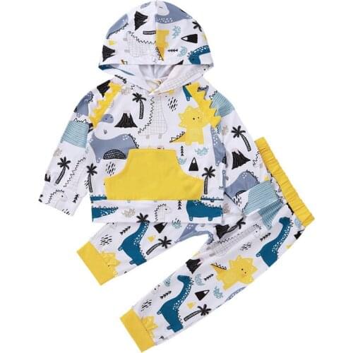Cotton Baby Boys Hooded Clothes Set Autumn Newborn Baby Dinosaur Print Long-sleeved Hooded Top+trousers 2 Pcs Infant Sport Suit