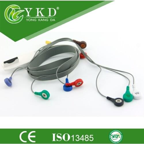 2pcs/lot Free shipping Mortara Holter ecg cable and leadwires 10 lead AHA Snap