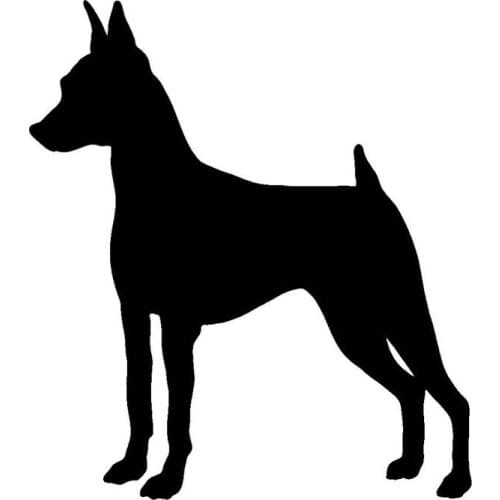 11.2*12.7CM Miniature Pinscher Dog Classic Cartoon Stickers Fashion Car Windshield Decals Decorative Accessories C6-0575