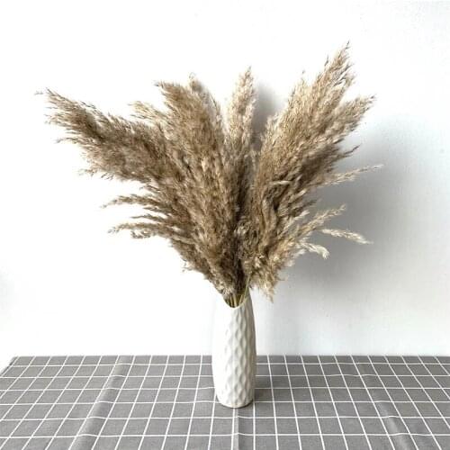 15/20 pcs Free shipping Plume 30-40cm wedding pampas grass bouquet christmas decoration flower bunch pampas grass natural dried