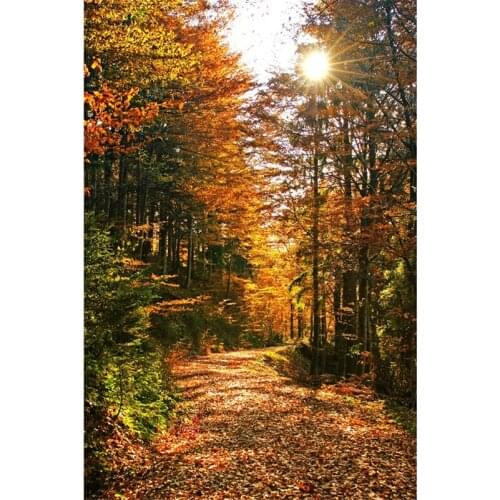 6630R Sunshine path Diamond Painting Cross Stitch full Rhinestones Painting Pattern Diamond Embroidery DIY Needlework Home Decor