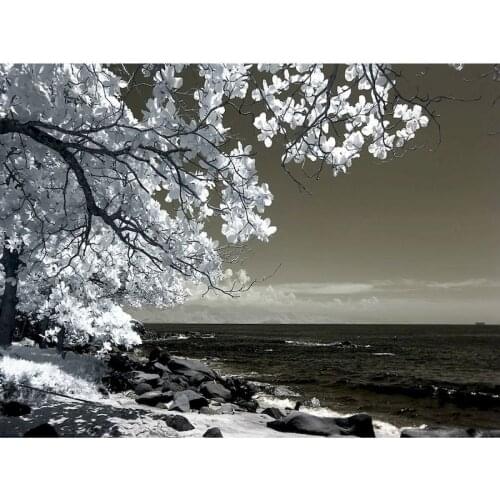 GATYZTORY Paint By Numbers Seaside Scenery Oil Painting By Numbers On Canvas 40x50cm Frameless Home Decor Draw Number