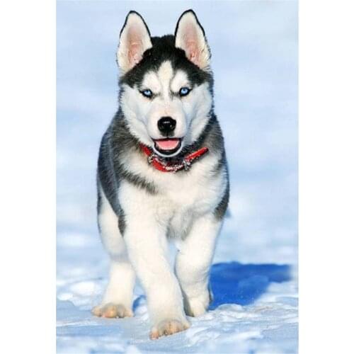 Environmental Crafts DIY 11CT Embroidery Cross Stitch Kits Needlework Craft Set Printed Canvas Cotton Thread Home Design