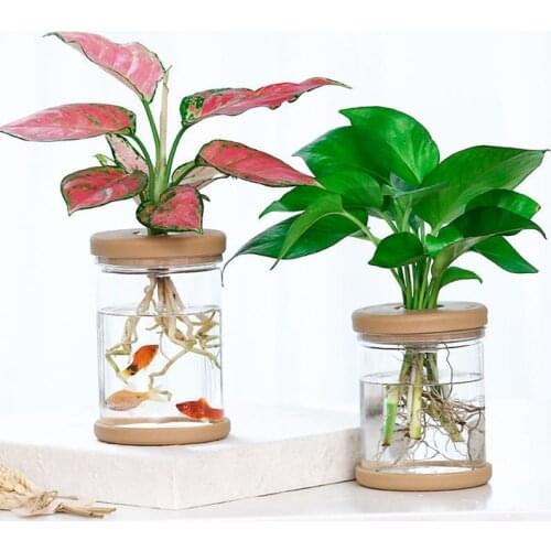 Plant Pots Lazy Transparent Flower ​Pot Transparent Pot Automatic Water-absorbing Flowerpot Imitation Glass
