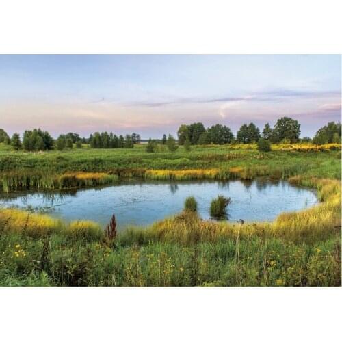 Landscape Backdrop Lake on the Prairie Scenery Party Photography Background Holiday Celebration Photo Booth Studio Decor