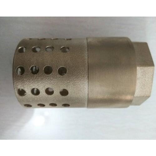 1'' DN25 Brass Female Male Thread In-Line Spring Vertical Check Valve