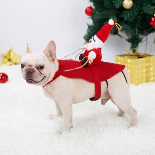 TAILUP Costumes For Dogs