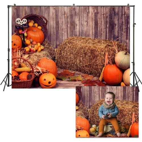 HUAYI Photo Background Newborns Baby Child Photography Backdrops Studio Autumn Pumpkins Halloween Day Photoshoot Backdrop US251