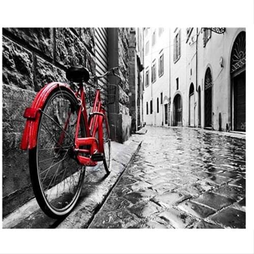 Paint By Numbers DIY Acrylic Painting Kit for Kids & Adults 40X50cm Bicycle with 3 Brushes