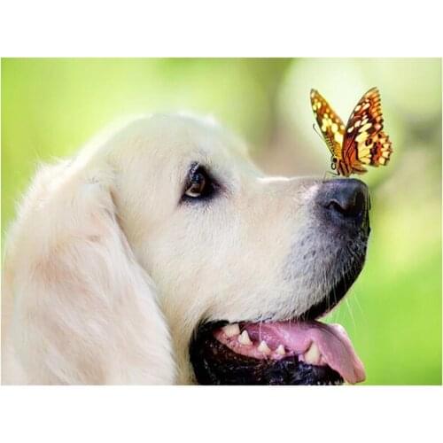 Diy Handwork Diamond Mosaic 5D Diamond Painting Golden Retriever picture of Rhinestones Full Diamond Embroidery Sale Decor TY171