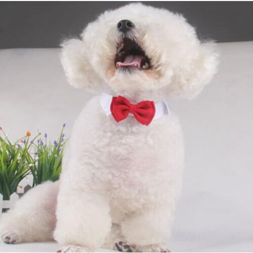 Pet Puppy Kitten Dogs Cat Adjustable Bow Tie Collar Necktie Bowknot Decor Bowtie Holiday Wedding Life Decoration Accessories