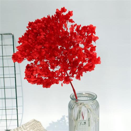 Preserved Flower Hydrangea Home Decor Artificial Dried Flower Mothers Day Gift Indie Room Decoration For Wedding Party