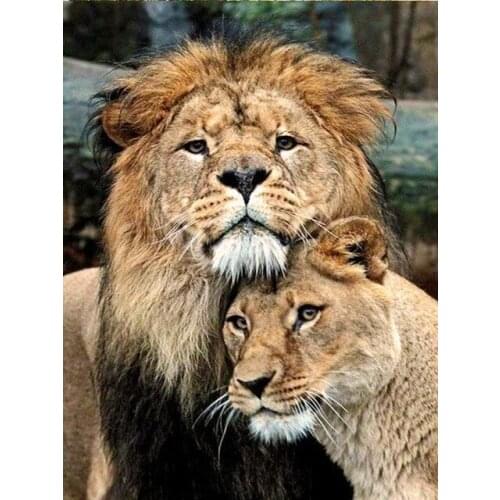 CRITDP Embroidery Kits