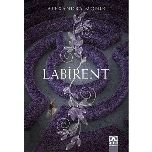 Maze Alexandra Monir Gold Books Novel Sequence