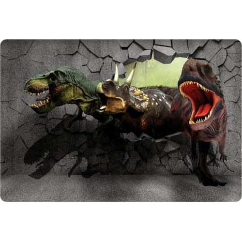 Welcome Home Hallway Doormat Entrance Door Mats Indoor Cute 3d Dinosaur Print Anti Slip Bedroom Rugs 40*60cm Floor Mat Carpet